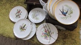 Bird Plates