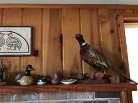 Collection of duck decoys