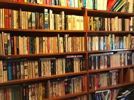 Extensive book collection