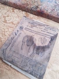 McCall's shirtwaist pattern circa 1910