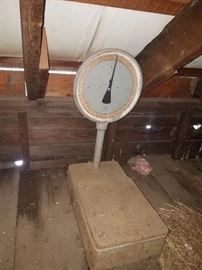Vintage Scale