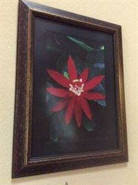 Flower framed art