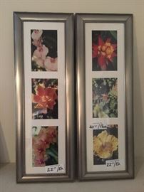 Framed flower photos