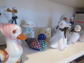 Duck Collection