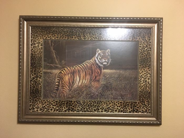 Tiger Pic