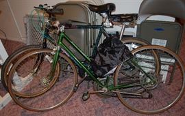 SCHWINN BIKE AND A MOUNTAIN BIKE