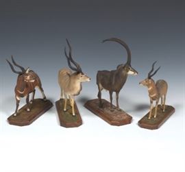 Louis Paul Jonas Studios, Giant Sable Antelope, Bongo, Greater and Lesser Kudu