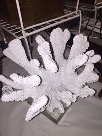 Large piece of coral