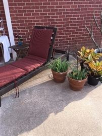 One of two patio lounge chairs; live aloe vera and croton plants