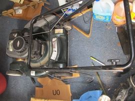 Back Shed Monday only