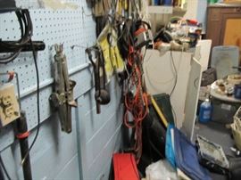 back shed Monday only