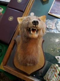 missing an eye available on ebay