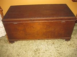 cedar trunk