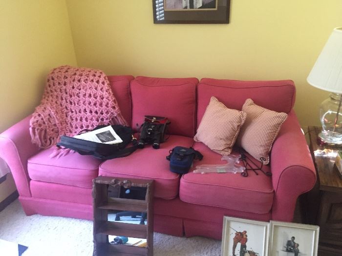 Sofa, throw, pillows, Sony video camera recorder, Norman Rockwell pictures, and more.