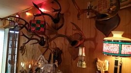 Deer Antlers from Montana 