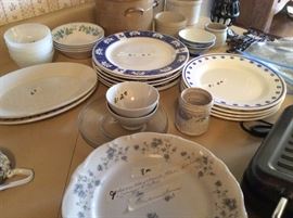 Johnson Haviland  Patter Glue Garland dinner plates , Bavaria Germany