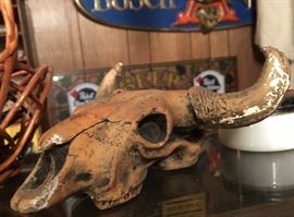 skull of a ????