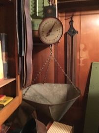 Scale