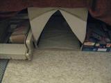 new automatic kitty litter system with accessories and supplies