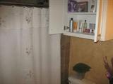 Shower curtain & bathroom decor