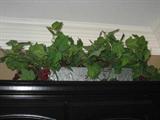 indoor planters