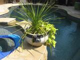 outdoor pottery with live plants