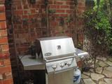stainless steel grill
