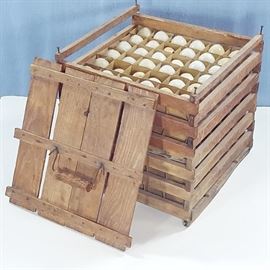 Msc Egg Case Collecting Wood