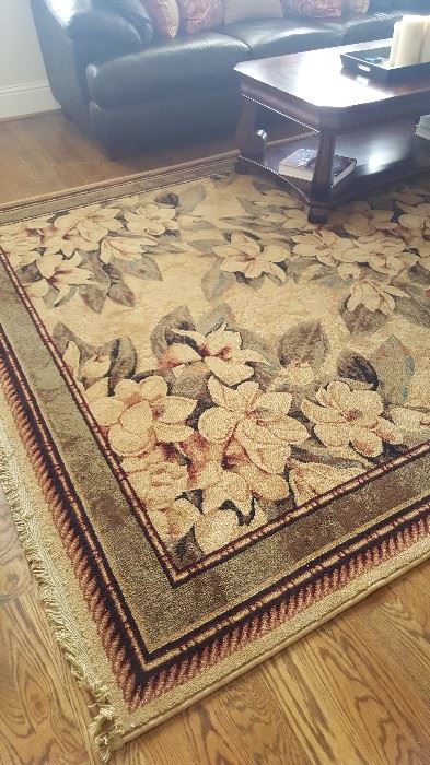 Shaw Rugs - Kathy Ireland Collection. 8x11. Style: Sonnet Natural