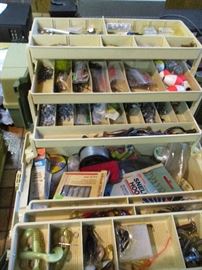fishing lures in cases