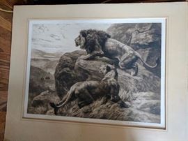 Antique Etching