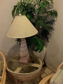 Rattan glass top table, lamp, silk palm