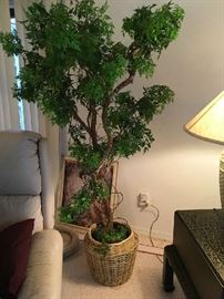 Silk Tree, Recliner, 