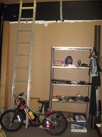 Kid's Bicycle:  $100,  Very Tall Aluminum Extension Ladder