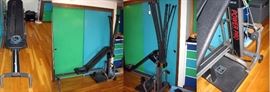 Downstairs Back Right Bedroom Bowflex Power Pro Power Rods