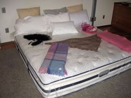 Downstairs Main Bedroom Right Beautyrest (Recharge)