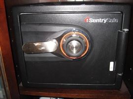Sentry Safe...