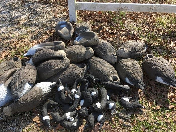 Carry Lite Field and Water Canada Goose Decoys with Heads