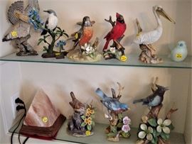 Bird Collection