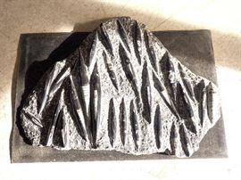 Orthocera Fossils, 28 Fossils Embedded in Stone Slab, Polished to High Shine, Fossils Range 4" to 13" in Length, Stone 20" x 26.5", IMPRESSIVE!