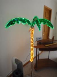 Lit Palm Tree
