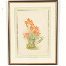 Henry G. Moon Framed Chromolithograph "Epidendrum Vitellinum": A framed chromolithograph print after Henry G. Moon titled Epidendrum Vitellinum. Moon (1857-1905) was an English landscape and botanical painter, known for painting orchids. (See link for more information.) The picture depicts a variety of orange orchids. It is signed in plate to the lower right of the flower image, and titled bottom and center. The picture is matted in cream and green and framed in black with a gold inset. It is wired for hanging.