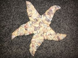 Shell Star Fish