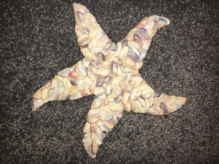 Shell Star Fish