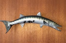 Large mounted barracuda