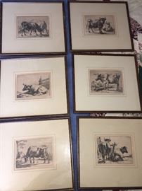 Set of antique cow etchings, Paulus Potter 