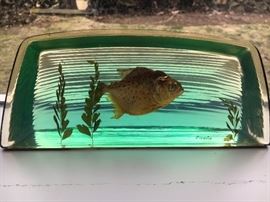 Piranha. Tragically trapped.