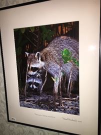 Our client, among many other things, was an accomplished wildlife photographer! 