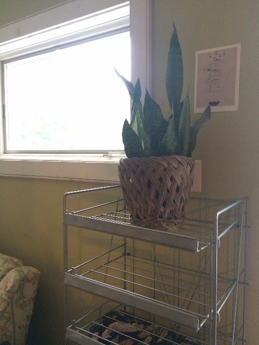 metal baker's rack on wheel - great plant stand!