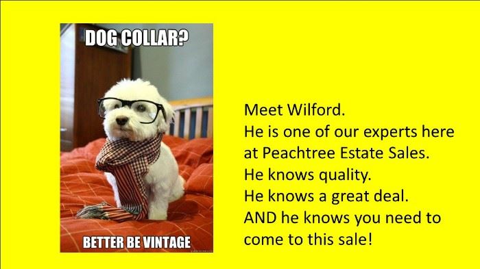 dog with glasses